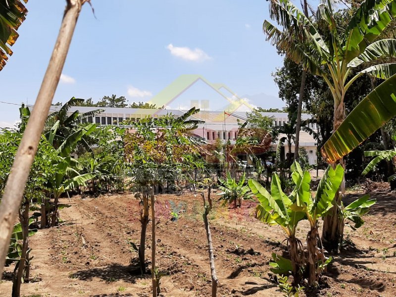 Dijual Tanah Strategis di Depan Stasiun Kreta Api Ketapang  - Banyuwangi Dijual Tanah Strategis di Depan Stasiun Kreta Api Ketapang  - Banyuwangi Dijual Tanah Strategis di Depan Stasiun Kreta Api Ketapang&nbsp; - Banyuwangi
Sangat Cocok Untuk Resto, Home Stay, Gues house, Rumah Kos dan Lainnya ( Jika di NRP BANYUWANGI