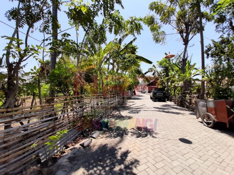 Dijual Tanah Strategis di Depan Stasiun Kreta Api Ketapang  - Banyuwangi Dijual Tanah Strategis di Depan Stasiun Kreta Api Ketapang  - Banyuwangi Dijual Tanah Strategis di Depan Stasiun Kreta Api Ketapang&nbsp; - Banyuwangi
Sangat Cocok Untuk Resto, Home Stay, Gues house, Rumah Kos dan Lainnya ( Jika di NRP BANYUWANGI