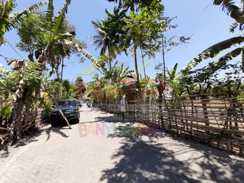 Dijual Tanah Strategis di Depan Stasiun Kreta Api Ketapang  - Banyuwangi Dijual Tanah Strategis di Depan Stasiun Kreta Api Ketapang  - Banyuwangi Dijual Tanah Strategis di Depan Stasiun Kreta Api Ketapang&nbsp; - Banyuwangi
Sangat Cocok Untuk Resto, Home Stay, Gues house, Rumah Kos dan Lainnya ( Jika di NRP BANYUWANGI