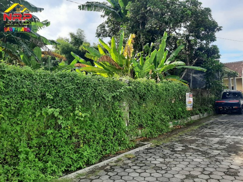 Dijual Tanah Strategis di Jl. Ikan Wijinongko - Banyuwangi Dijual Tanah Strategis di Jl. Ikan Wijinongko - Banyuwangi Dijual Tanah Strategis di Jl. Ikan Wijinongko - Banyuwangi
Lokasi Sangat Strategis dekat dengan Fasilitas Pendidikan, Pusat Bisnis, dan Perbelanjaan

Luas NRP BANYUWANGI