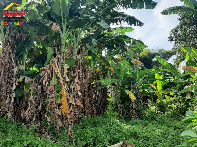 Dijual Tanah Strategis di Jl. Ikan Wijinongko - Banyuwangi Dijual Tanah Strategis di Jl. Ikan Wijinongko - Banyuwangi Dijual Tanah Strategis di Jl. Ikan Wijinongko - Banyuwangi
Lokasi Sangat Strategis dekat dengan Fasilitas Pendidikan, Pusat Bisnis, dan Perbelanjaan

Luas NRP BANYUWANGI