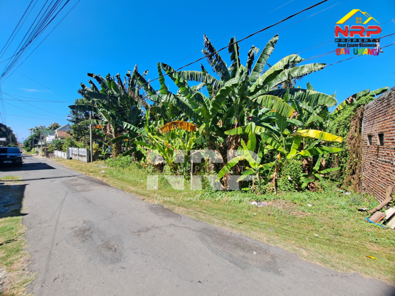 Dijual Tanah Strategis di Tamanbaru - Banyuwangi  Dijual Tanah Strategis di Tamanbaru - Banyuwangi  Dijual Tanah Strategis di Tamanbaru - Banyuwangi&nbsp;
Sangat Cocok untuk Rumah Kos Pegawai, Home Stay,&nbsp; Hunian Pribadi dan Ruang Usaha Lainnya.

LUAS NRP BANYUWANGI