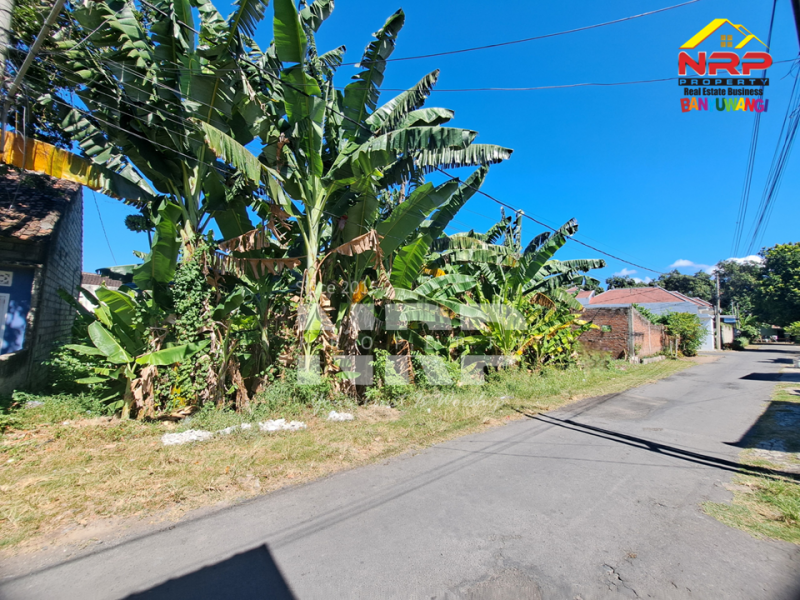 Dijual Tanah Strategis di Tamanbaru - Banyuwangi  Dijual Tanah Strategis di Tamanbaru - Banyuwangi  Dijual Tanah Strategis di Tamanbaru - Banyuwangi&nbsp;
Sangat Cocok untuk Rumah Kos Pegawai, Home Stay,&nbsp; Hunian Pribadi dan Ruang Usaha Lainnya.

LUAS NRP BANYUWANGI