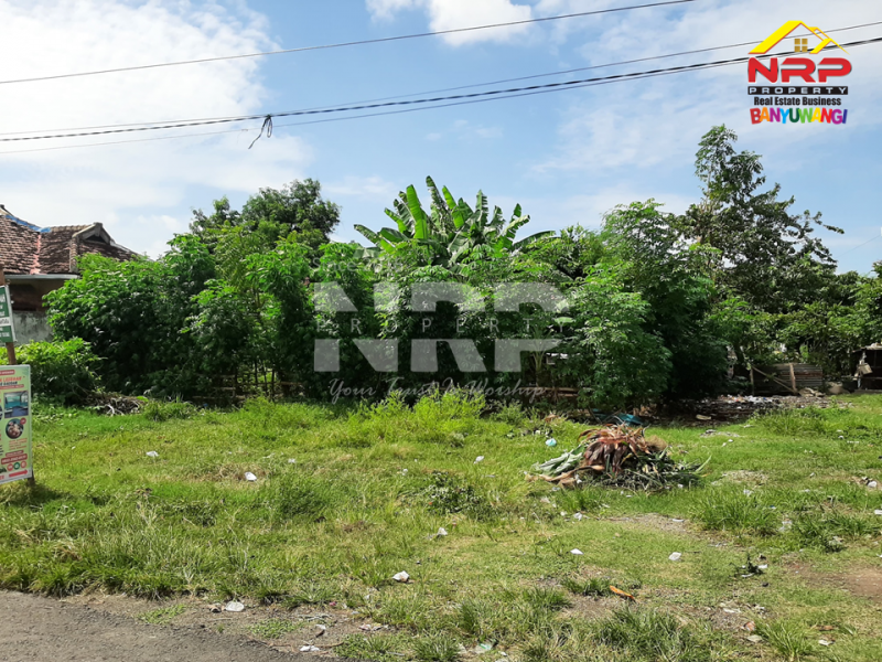 Dijual Tanah Strategis di Tamanbaru - Pusat Kota Banyuwangi  Dijual Tanah Strategis di Tamanbaru - Pusat Kota Banyuwangi  Dijual Tanah Strategis di Tamanbaru - Pusat Kota Banyuwangi&nbsp;
Lokasi Sangat Strategis, dekat Kawasan Bisnis, Kantor Pemerintahan, Pendidikan dan NRP BANYUWANGI