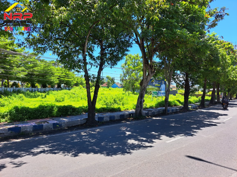 Dijual Tanah Strategis Di Tepi Jalan Brawijaya Banyuwangi Dijual Tanah Strategis Di Tepi Jalan Brawijaya Banyuwangi Dijual Tanah Strategis Di Tepi Jalan Brawijaya Banyuwangi
Lokasi Di Ruas Jalan Double W Brawijaya Banyuwangi
Dekat dengan fasilitas pendidikan, perbelanjaan, NRP BANYUWANGI