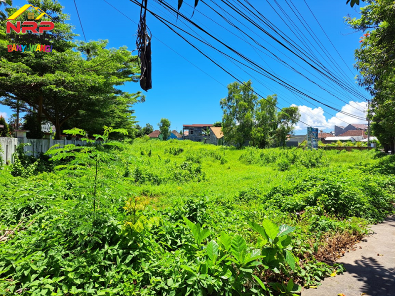Dijual Tanah Strategis Di Tepi Jalan Brawijaya Banyuwangi Dijual Tanah Strategis Di Tepi Jalan Brawijaya Banyuwangi Dijual Tanah Strategis Di Tepi Jalan Brawijaya Banyuwangi
Lokasi Di Ruas Jalan Double W Brawijaya Banyuwangi
Dekat dengan fasilitas pendidikan, perbelanjaan, NRP BANYUWANGI