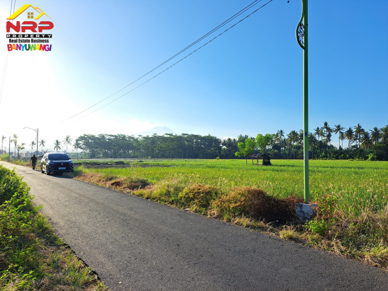 Dijual Tanah Strategis di Tepi Jl. Ikan Layur - Banyuwangi  Dijual Tanah Strategis di Tepi Jl. Ikan Layur - Banyuwangi  Dijual Tanah Strategis di Tepi Jl. Ikan Layur - Banyuwangi&nbsp;
Lahan Produktif Cocok untuk Pertanian, Pembukaan Kawasan Perumahan, Gudang atau Bisnis NRP BANYUWANGI