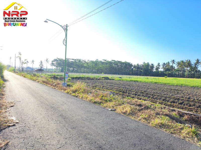 Dijual Tanah Strategis di Tepi Jl. Ikan Layur - Banyuwangi  Dijual Tanah Strategis di Tepi Jl. Ikan Layur - Banyuwangi  Dijual Tanah Strategis di Tepi Jl. Ikan Layur - Banyuwangi&nbsp;
Lahan Produktif Cocok untuk Pertanian, Pembukaan Kawasan Perumahan, Gudang atau Bisnis NRP BANYUWANGI