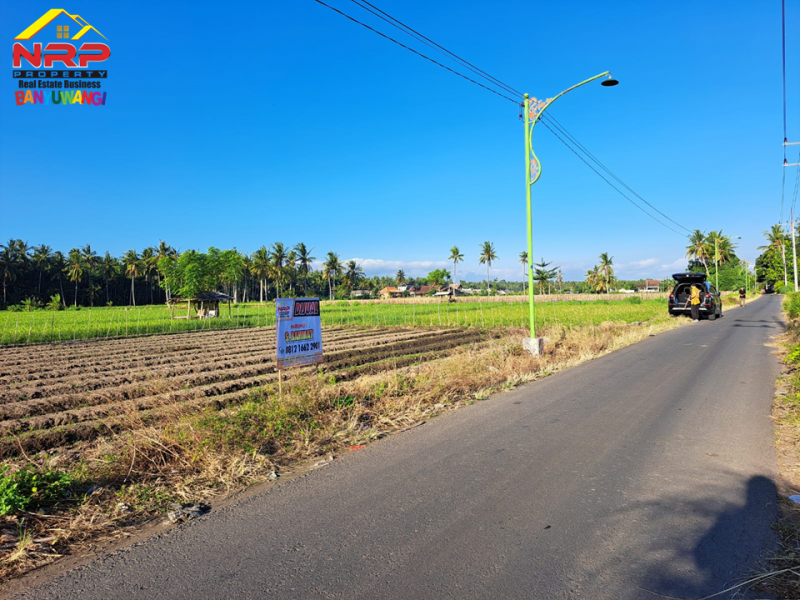 Dijual Tanah Strategis di Tepi Jl. Ikan Layur - Banyuwangi  Dijual Tanah Strategis di Tepi Jl. Ikan Layur - Banyuwangi  Dijual Tanah Strategis di Tepi Jl. Ikan Layur - Banyuwangi&nbsp;
Lahan Produktif Cocok untuk Pertanian, Pembukaan Kawasan Perumahan, Gudang atau Bisnis NRP BANYUWANGI
