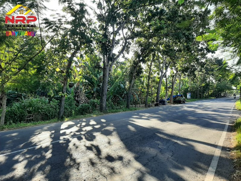 Dijual Tanah Strategis Ditepi Jln Raden Wijaya - Banyuwangi Dijual Tanah Strategis Ditepi Jln Raden Wijaya - Banyuwangi Dijual Tanah Strategis Ditepi Jln Raden Wijaya - Banyuwangi
Sangat Cocok Untuk Pabrik/Industri, Kompleks Ruko/ Cluster, Gudang, Expedisi dan Bangunan NRP BANYUWANGI