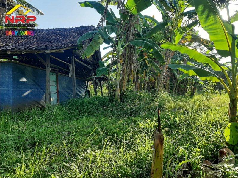 Dijual Tanah Strategis Ditepi Jln Raden Wijaya - Banyuwangi Dijual Tanah Strategis Ditepi Jln Raden Wijaya - Banyuwangi Dijual Tanah Strategis Ditepi Jln Raden Wijaya - Banyuwangi
Sangat Cocok Untuk Pabrik/Industri, Kompleks Ruko/ Cluster, Gudang, Expedisi dan Bangunan NRP BANYUWANGI