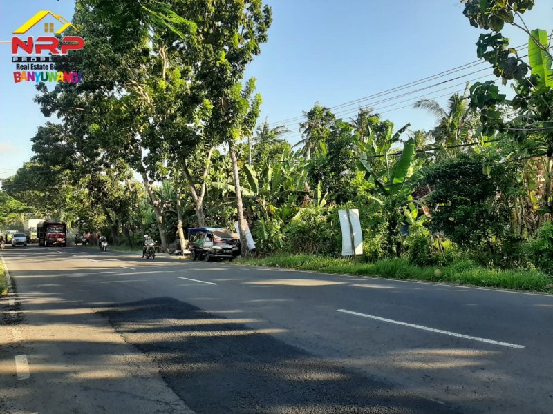 Dijual Tanah Strategis Ditepi Jln Raden Wijaya - Banyuwangi Dijual Tanah Strategis Ditepi Jln Raden Wijaya - Banyuwangi Dijual Tanah Strategis Ditepi Jln Raden Wijaya - Banyuwangi
Sangat Cocok Untuk Pabrik/Industri, Kompleks Ruko/ Cluster, Gudang, Expedisi dan Bangunan NRP BANYUWANGI