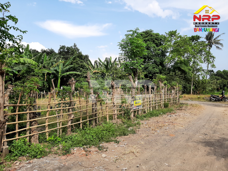 Dijual Tanah Strategis Hook di Depan Hotel ASTON Banyuwangi Dijual Tanah Strategis Hook di Depan Hotel ASTON Banyuwangi Dijual Tanah Strategis Hook di Depan Hotel ASTON Banyuwangi
Lokasi&nbsp; 150 Meter dari Jl. Brawijaya&nbsp;
Cocok untuk hunian, home stay, rumah kos atau NRP BANYUWANGI