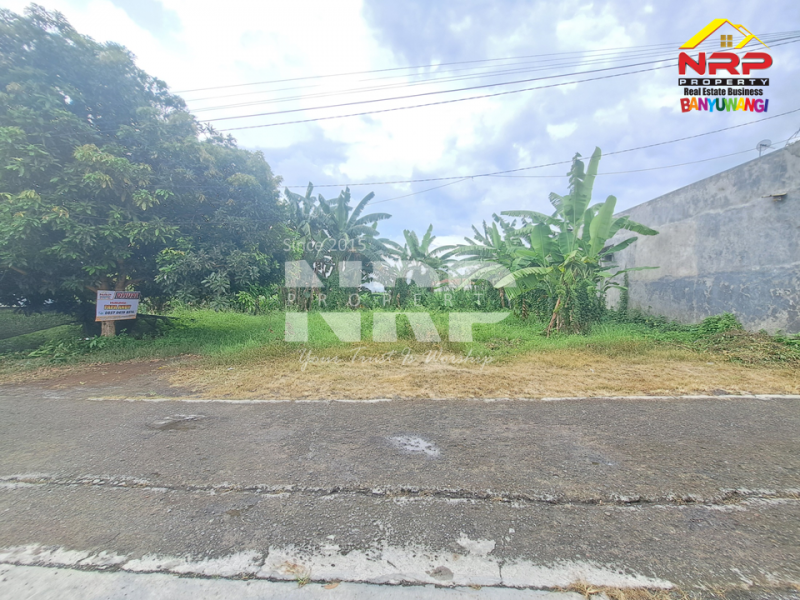 DIJUAL TANAH STRATEGIS KEBALENAN - BANYUWANGI  DIJUAL TANAH STRATEGIS KEBALENAN - BANYUWANGI  DIJUAL TANAH STRATEGIS KEBALENAN - BANYUWANGI&nbsp;
Lokasi premium, akses mudah, cocok untuk rumah tinggal atau investasi. Legalitas aman, siap NRP BANYUWANGI