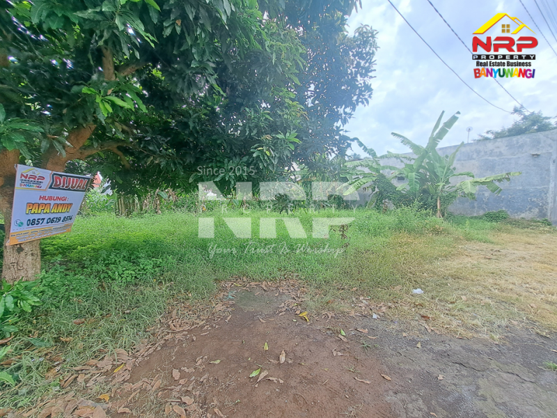 DIJUAL TANAH STRATEGIS KEBALENAN - BANYUWANGI  DIJUAL TANAH STRATEGIS KEBALENAN - BANYUWANGI  DIJUAL TANAH STRATEGIS KEBALENAN - BANYUWANGI&nbsp;
Lokasi premium, akses mudah, cocok untuk rumah tinggal atau investasi. Legalitas aman, siap NRP BANYUWANGI