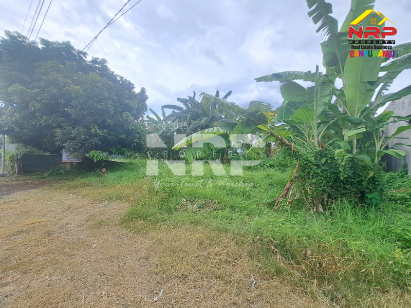 DIJUAL TANAH STRATEGIS KEBALENAN - BANYUWANGI  DIJUAL TANAH STRATEGIS KEBALENAN - BANYUWANGI  DIJUAL TANAH STRATEGIS KEBALENAN - BANYUWANGI&nbsp;
Lokasi premium, akses mudah, cocok untuk rumah tinggal atau investasi. Legalitas aman, siap NRP BANYUWANGI