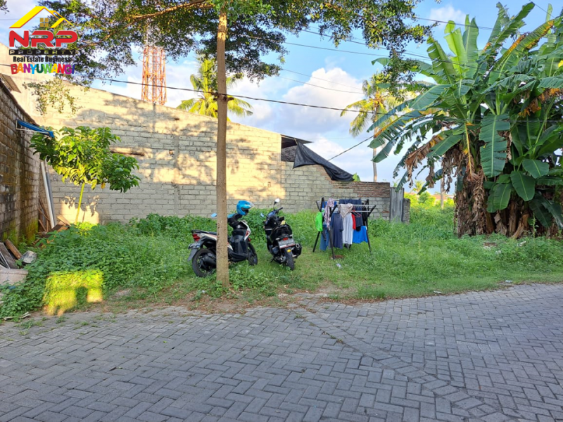 Dijual Tanah Strategis Pusat Kota Banyuwangi Dijual Tanah Strategis Pusat Kota Banyuwangi Dijual Tanah Strategis Pusat Kota Banyuwangi
Terletak di Jl. Terusan Borobudur Tamanbaru
Sangat Cocok untuk Hunian, Rumah Kos, Cafe, dan Ruang Usaha NRP BANYUWANGI