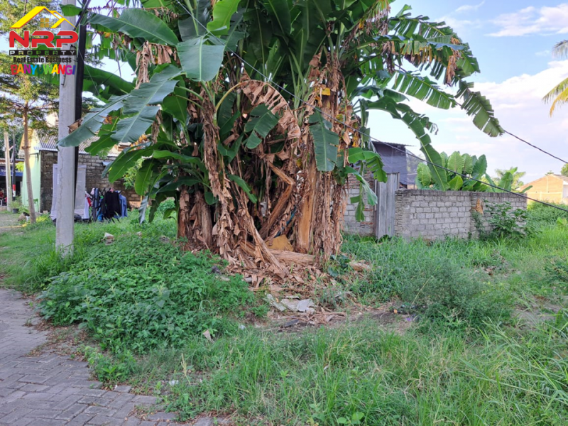 Dijual Tanah Strategis Pusat Kota Banyuwangi Dijual Tanah Strategis Pusat Kota Banyuwangi Dijual Tanah Strategis Pusat Kota Banyuwangi
Terletak di Jl. Terusan Borobudur Tamanbaru
Sangat Cocok untuk Hunian, Rumah Kos, Cafe, dan Ruang Usaha NRP BANYUWANGI