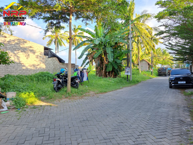 Dijual Tanah Strategis Pusat Kota Banyuwangi Dijual Tanah Strategis Pusat Kota Banyuwangi Dijual Tanah Strategis Pusat Kota Banyuwangi
Terletak di Jl. Terusan Borobudur Tamanbaru
Sangat Cocok untuk Hunian, Rumah Kos, Cafe, dan Ruang Usaha NRP BANYUWANGI