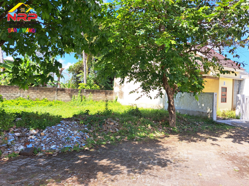 Dijual Tanah  Strategis Pusat Kota Banyuwangi Akses  di Jl. Kepiting  - Banyuwangi  Dijual Tanah Murah Banyuwangi  Dijual Tanah Kavling Strategis Pusat Kota Banyuwangi Akses&nbsp; di Jl. Kepiting&nbsp; - Banyuwangi&nbsp;
Berada di kawasan perumahan yang aman, nyaman, akses NRP BANYUWANGI
