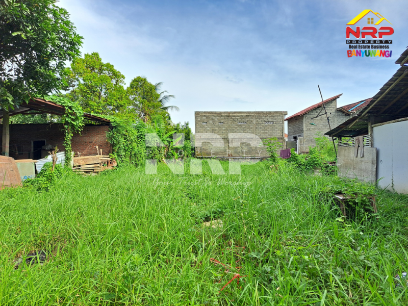 Dijual Tanah Strategis ready to build Tepi Jalan Boyolangu Banyuwangi  Dijual Tanah Strategis ready to build Tepi Jalan Boyolangu Banyuwangi Dijual Tanah Strategis ready to build Tepi Jalan Boyolangu &mdash; Rare Item
Lokasi jarang ada, akses depan jalan, siap bangun, dan cocok berbagai NRP BANYUWANGI