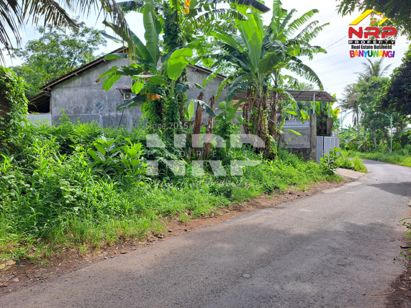 Dijual Tanah Strategis ready to build Tepi Jalan Boyolangu Banyuwangi  Dijual Tanah Strategis ready to build Tepi Jalan Boyolangu Banyuwangi Dijual Tanah Strategis ready to build Tepi Jalan Boyolangu &mdash; Rare Item
Lokasi jarang ada, akses depan jalan, siap bangun, dan cocok berbagai NRP BANYUWANGI