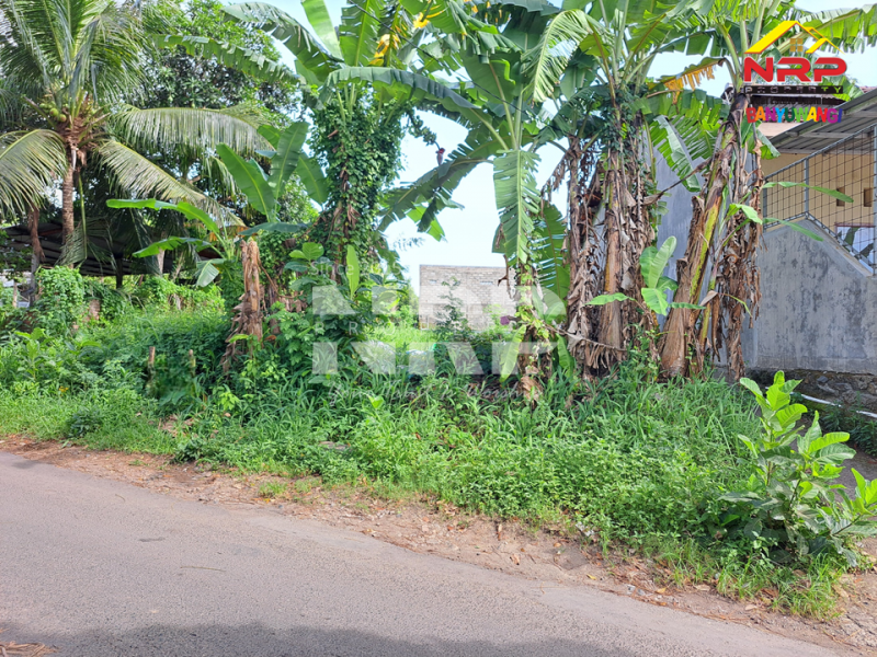 Dijual Tanah Strategis ready to build Tepi Jalan Boyolangu Banyuwangi  Dijual Tanah Strategis ready to build Tepi Jalan Boyolangu Banyuwangi Dijual Tanah Strategis ready to build Tepi Jalan Boyolangu &mdash; Rare Item
Lokasi jarang ada, akses depan jalan, siap bangun, dan cocok berbagai NRP BANYUWANGI