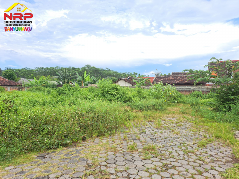 Dijual Tanah Strategis  Siap Bangun di Jl. Ikan Layur Banyuwangi.  Dijual Tanah Strategis  Siap Bangun di Jl. Ikan Layur Banyuwangi.  Dijual Tanah Strategis&nbsp; Siap Bangun di Jl. Ikan Layur Banyuwangi.&nbsp;
Berada dikawasan padat penduduk . Cocok untuk hunian, rukos, homestay NRP BANYUWANGI