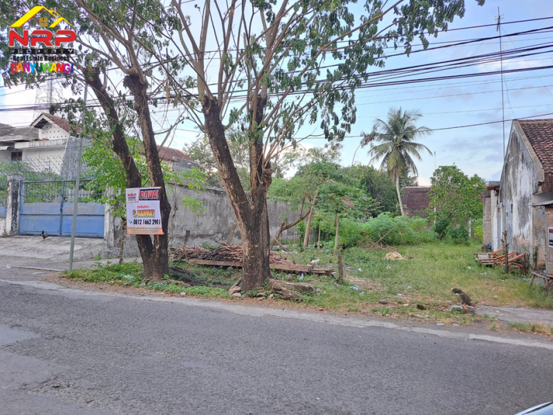 Dijual Tanah Strategis Siap Bangun di tepi Jl. A Yani - Jajag  Dijual Tanah Strategis Siap Bangun di tepi Jl. A Yani - Jajag  Dijual Tanah Strategis Siap Bangun di tepi Jl. A Yani - Jajag&nbsp;
Sangat cocok untuk komplek pergudangan, showroom, bengkel dan bisnis NRP BANYUWANGI