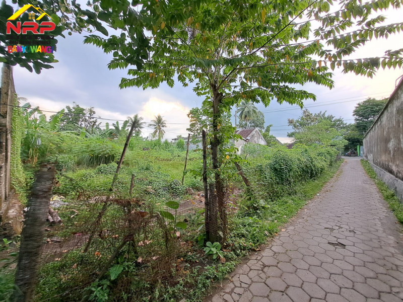 Dijual Tanah Strategis Siap Bangun di tepi Jl. A Yani - Jajag  Dijual Tanah Strategis Siap Bangun di tepi Jl. A Yani - Jajag  Dijual Tanah Strategis Siap Bangun di tepi Jl. A Yani - Jajag&nbsp;
Sangat cocok untuk komplek pergudangan, showroom, bengkel dan bisnis NRP BANYUWANGI