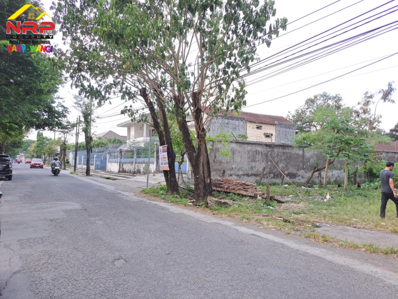 Dijual Tanah Strategis Siap Bangun di tepi Jl. A Yani - Jajag  Dijual Tanah Strategis Siap Bangun di tepi Jl. A Yani - Jajag  Dijual Tanah Strategis Siap Bangun di tepi Jl. A Yani - Jajag&nbsp;
Sangat cocok untuk komplek pergudangan, showroom, bengkel dan bisnis NRP BANYUWANGI
