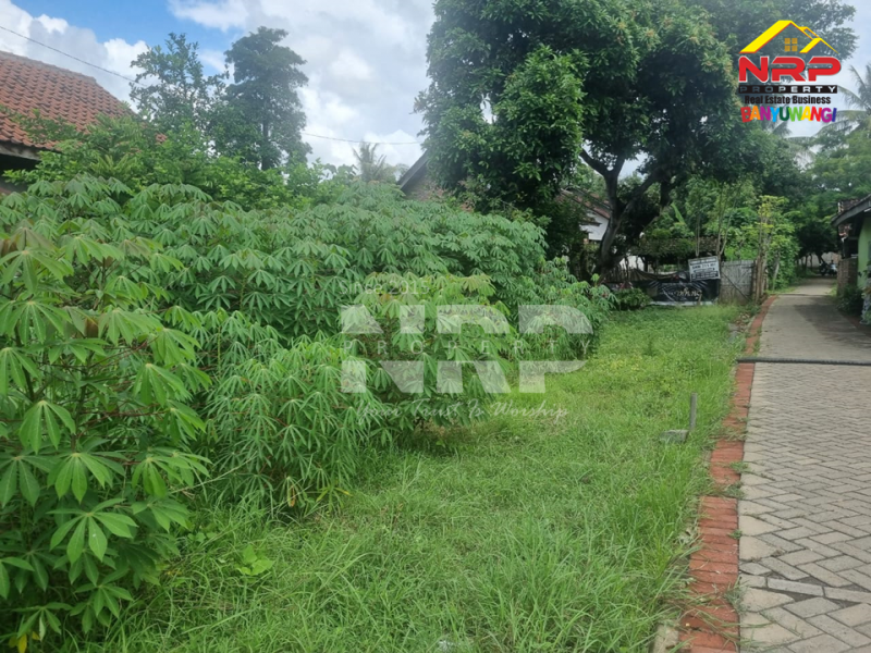 Dijual Tanah Strategis Siap Bangun di tepi Jl. Raya Bajulmati  Dijual Tanah Strategis Siap Bangun di tepi Jl. Raya Bajulmati  Dijual Tanah Strategis Siap Bangun di tepi Jl. Raya Bajulmati&nbsp;
Depan SPBU Bajulmati, Cocok Untuk Ruko, Hunian, Resto, Cafe dll

Luas Tanah : 711 NRP BANYUWANGI
