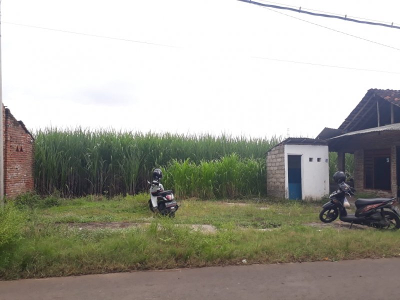 Dijual Tanah Strategis Tepi Jalan Kalipuro - Banyuwangi Dijual Tanah Strategis Tepi Jalan Kalipuro - Banyuwangi Dijual Tanah Strategis Tepi Jalan Kalipuro - Banyuwangi
Cocok Untuk Pertokoan dan Ruang Usaha

Luas Tanah : 153 m2
Dimensi : -/+ Lebar 22 x 7 NRP BANYUWANGI