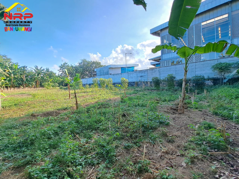 Dijual Tanah Strategis Tepi Jalan S. Parman Banyuwangi.  Dijual Tanah Strategis Tepi Jalan S. Parman Banyuwangi.  Dijual Tanah Strategis Tepi Jalan S. Parman Banyuwangi.
Dekat dengan Hotel Santika Banyuwangi, Terletak di Area Perumahan Elit Gardenia, Kawasan Bisnis dan NRP BANYUWANGI