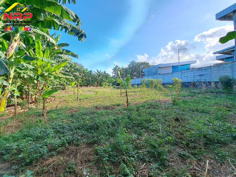 Dijual Tanah Strategis Tepi Jalan S. Parman Banyuwangi.  Dijual Tanah Strategis Tepi Jalan S. Parman Banyuwangi.  Dijual Tanah Strategis Tepi Jalan S. Parman Banyuwangi.
Dekat dengan Hotel Santika Banyuwangi, Terletak di Area Perumahan Elit Gardenia, Kawasan Bisnis dan NRP BANYUWANGI