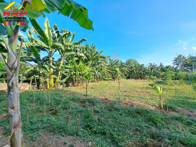 Dijual Tanah Strategis Tepi Jalan S. Parman Banyuwangi.  Dijual Tanah Strategis Tepi Jalan S. Parman Banyuwangi.  Dijual Tanah Strategis Tepi Jalan S. Parman Banyuwangi.
Dekat dengan Hotel Santika Banyuwangi, Terletak di Area Perumahan Elit Gardenia, Kawasan Bisnis dan NRP BANYUWANGI