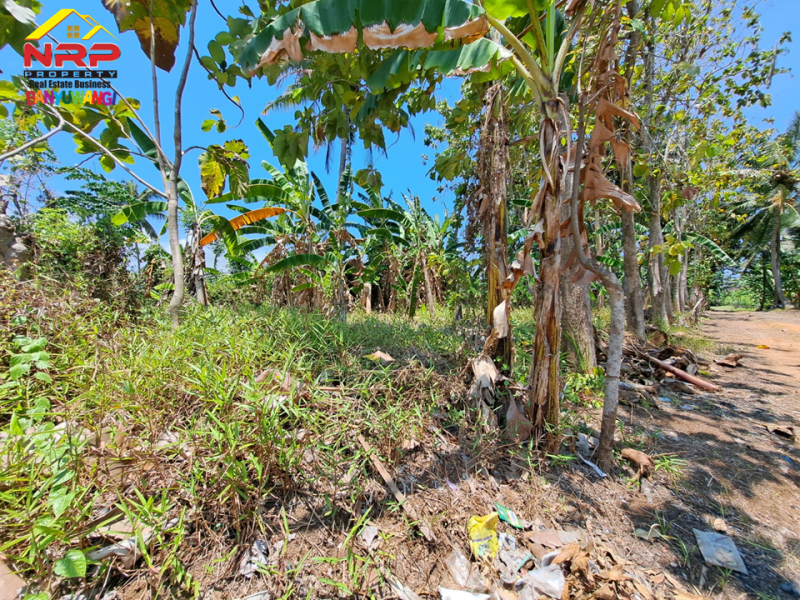 Dijual Tanah Strategis tepi Jl. Cemara - Banyuwangi  Dijual Tanah Strategis tepi Jl. Cemara - Banyuwangi  Dijual Tanah Strategis tepi Jl. Cemara - Banyuwangi&nbsp;
700 Meter dari Polresta Banyuwangi, Berada di kawasan perumahan.&nbsp;
Cocok untuk hunian, toko, NRP BANYUWANGI