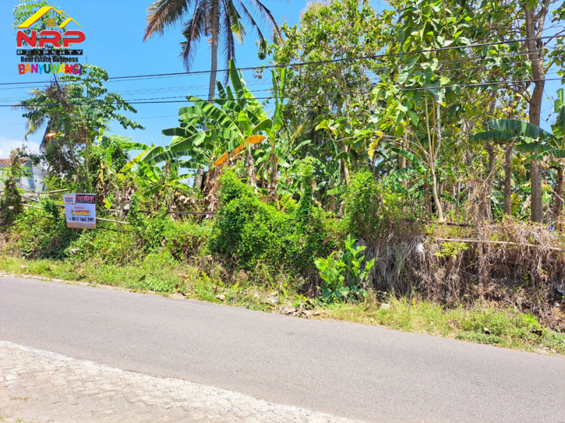 Dijual Tanah Strategis tepi Jl. Cemara - Banyuwangi  Dijual Tanah Strategis tepi Jl. Cemara - Banyuwangi  Dijual Tanah Strategis tepi Jl. Cemara - Banyuwangi&nbsp;
700 Meter dari Polresta Banyuwangi, Berada di kawasan perumahan.&nbsp;
Cocok untuk hunian, toko, NRP BANYUWANGI