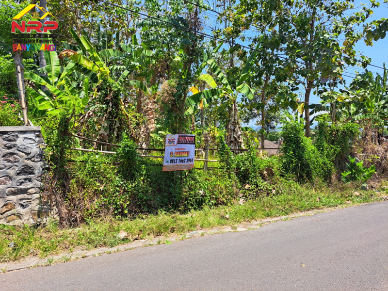 Dijual Tanah Strategis tepi Jl. Cemara - Banyuwangi  Dijual Tanah Strategis tepi Jl. Cemara - Banyuwangi  Dijual Tanah Strategis tepi Jl. Cemara - Banyuwangi&nbsp;
700 Meter dari Polresta Banyuwangi, Berada di kawasan perumahan.&nbsp;
Cocok untuk hunian, toko, NRP BANYUWANGI