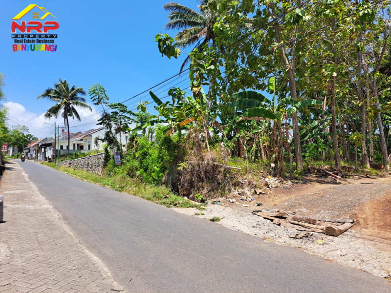 Dijual Tanah Strategis tepi Jl. Cemara - Banyuwangi  Dijual Tanah Strategis tepi Jl. Cemara - Banyuwangi  Dijual Tanah Strategis tepi Jl. Cemara - Banyuwangi&nbsp;
700 Meter dari Polresta Banyuwangi, Berada di kawasan perumahan.&nbsp;
Cocok untuk hunian, toko, NRP BANYUWANGI
