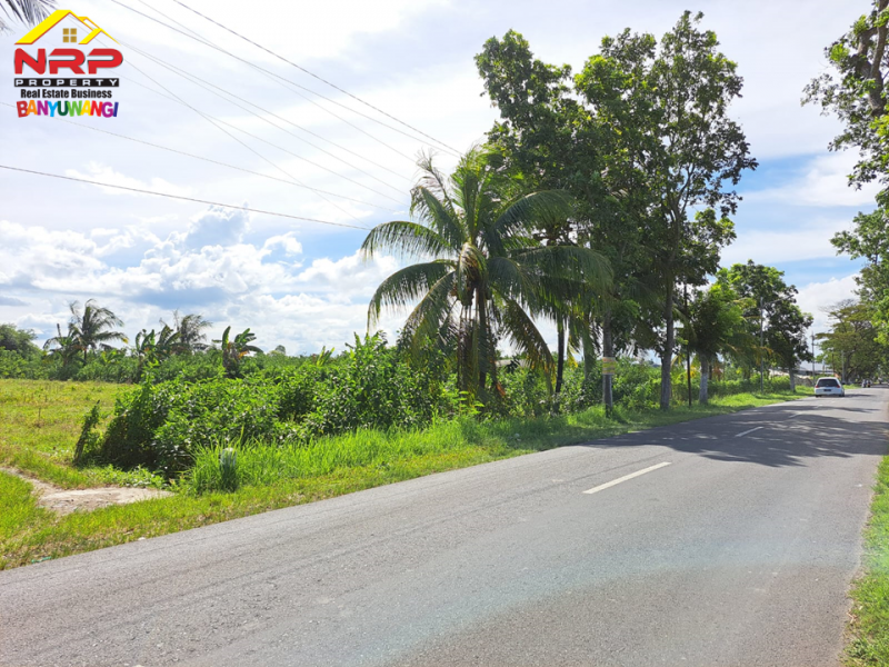 Dijual Tanah Strategis tepi Jl. Grajagan, Cluring- Banyuwangi  Dijual Tanah Strategis tepi Jl. Grajagan, Cluring- Banyuwangi  Dijual Tanah Strategis tepi Jl. Grajagan, Cluring- Banyuwangi&nbsp;
Cocok untuk pengambangan kawasan industri , perumahan maupun untuk investasi jangka NRP BANYUWANGI