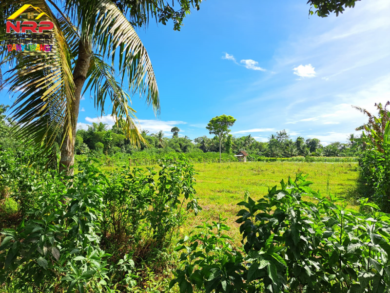 Dijual Tanah Strategis tepi Jl. Grajagan, Cluring- Banyuwangi  Dijual Tanah Strategis tepi Jl. Grajagan, Cluring- Banyuwangi  Dijual Tanah Strategis tepi Jl. Grajagan, Cluring- Banyuwangi&nbsp;
Cocok untuk pengambangan kawasan industri , perumahan maupun untuk investasi jangka NRP BANYUWANGI