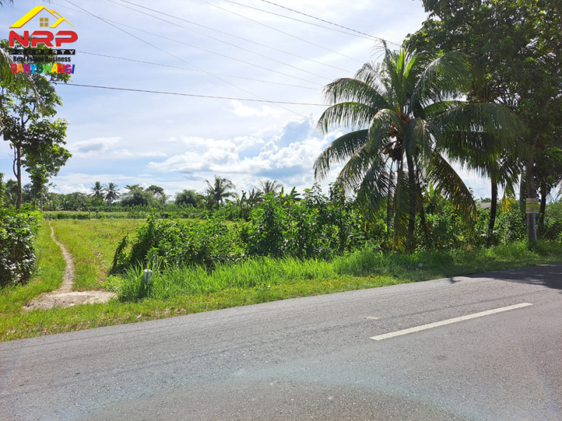 Dijual Tanah Strategis tepi Jl. Grajagan, Cluring- Banyuwangi  Dijual Tanah Strategis tepi Jl. Grajagan, Cluring- Banyuwangi  Dijual Tanah Strategis tepi Jl. Grajagan, Cluring- Banyuwangi&nbsp;
Cocok untuk pengambangan kawasan industri , perumahan maupun untuk investasi jangka NRP BANYUWANGI