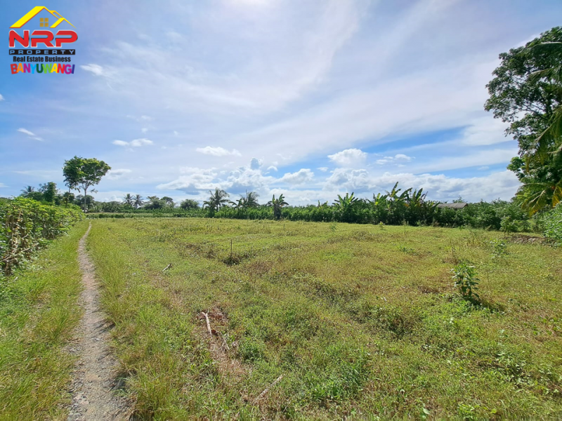 Dijual Tanah Strategis tepi Jl. Grajagan, Cluring- Banyuwangi  Dijual Tanah Strategis tepi Jl. Grajagan, Cluring- Banyuwangi  Dijual Tanah Strategis tepi Jl. Grajagan, Cluring- Banyuwangi&nbsp;
Cocok untuk pengambangan kawasan industri , perumahan maupun untuk investasi jangka NRP BANYUWANGI