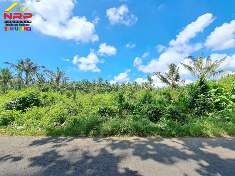 Dijual Tanah Strategis tepi Jl. Kh Ahmad Asyari, Pakistaji - Banyuwangi  Dijual Tanah Strategis tepi Jl. Kh Ahmad Asyari, Pakistaji - Banyuwangi  Dijual Tanah Strategis tepi Jl. Kh Ahmad Asyari, Pakistaji - Banyuwangi&nbsp;
Cocok untuk pengembangan kawasan perumahan atau industri.&nbsp;

LT : 15.590 NRP BANYUWANGI