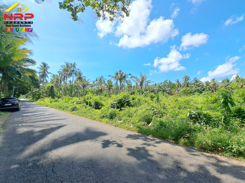 Dijual Tanah Strategis tepi Jl. Kh Ahmad Asyari, Pakistaji - Banyuwangi  Dijual Tanah Strategis tepi Jl. Kh Ahmad Asyari, Pakistaji - Banyuwangi  Dijual Tanah Strategis tepi Jl. Kh Ahmad Asyari, Pakistaji - Banyuwangi&nbsp;
Cocok untuk pengembangan kawasan perumahan atau industri.&nbsp;

LT : 15.590 NRP BANYUWANGI