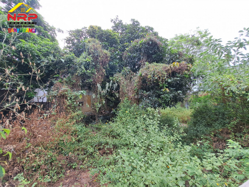 Dijual Tanah Strategis Tepi Jl. Yos Sudarso - Banyuwangi  Dijual Tanah Strategis Tepi Jl. Yos Sudarso - Banyuwangi  Dijual Tanah Strategis Tepi Jl. Yos Sudarso - Banyuwangi&nbsp;
Berada di Kawasann Komersial, Hotel dan Wisata penunjang Pariwisata Banyuwangi

Luas Tanah : NRP BANYUWANGI