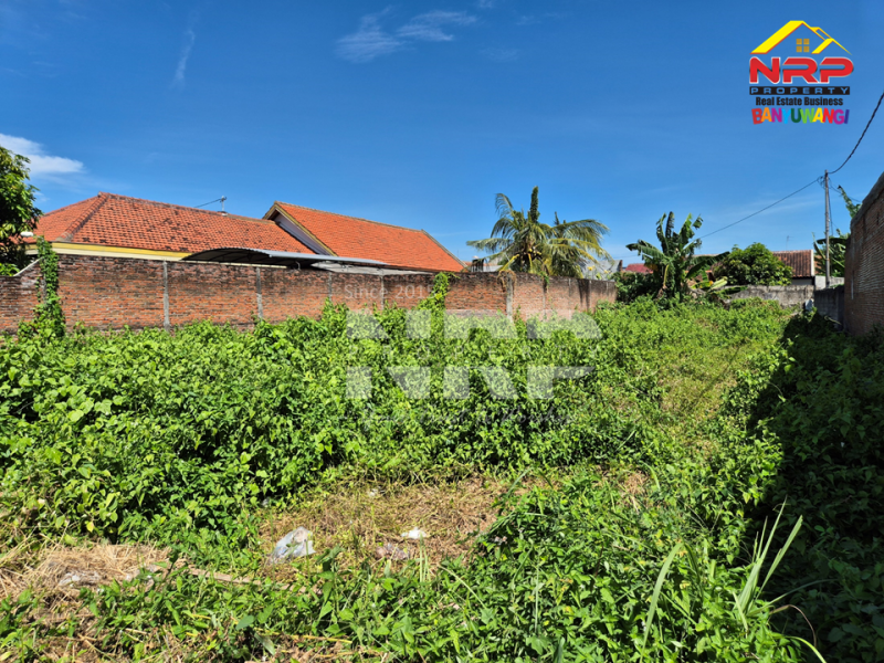 Dijual Tanah Strategis terletak  Jantung Kota Banyuwangi di Jl Singosari - Banyuwangi  Dijual Tanah Strategis terletak  Jantung Kota Banyuwangi di Jl Singosari - Banyuwangi  Dijual Tanah Strategis terletak&nbsp; Jantung Kota Banyuwangi di Jl Singosari - Banyuwangi&nbsp;
Cocok untuk investasi, hunian, rumah kos, homestay NRP BANYUWANGI