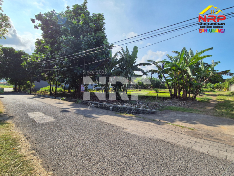 Dijual Tanah Strategis Under 1jt di Jl. Tidar, Singotrunan - Banyuwangi   Dijual Tanah Strategis Under 1jt di Jl. Tidar, Singotrunan - Banyuwangi   Dijual Tanah Strategis Under 1jt di Jl. Tidar, Singotrunan - Banyuwangi&nbsp;&nbsp;
Tepi Jalan akses mobil dan truk. Dekat SMPN 3 Banyuwangi, Dekat dengan NRP BANYUWANGI