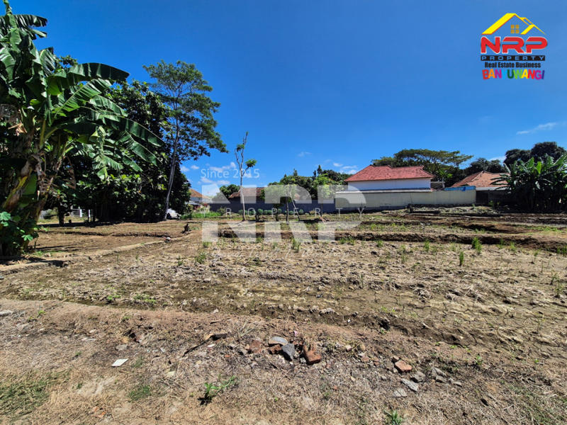 Dijual Tanah Strategis Under 1jt di Jl. Tidar, Singotrunan - Banyuwangi   Dijual Tanah Strategis Under 1jt di Jl. Tidar, Singotrunan - Banyuwangi   Dijual Tanah Strategis Under 1jt di Jl. Tidar, Singotrunan - Banyuwangi&nbsp;&nbsp;
Tepi Jalan akses mobil dan truk. Dekat SMPN 3 Banyuwangi, Dekat dengan NRP BANYUWANGI